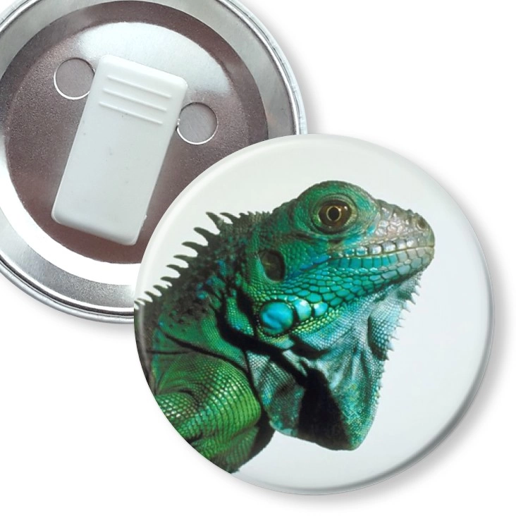 przypinka z żabką Kameleon