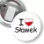 Przypinka z żabką i agrafką I love Sławek