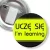 Przypinka z żabką i agrafką Uczę się learning