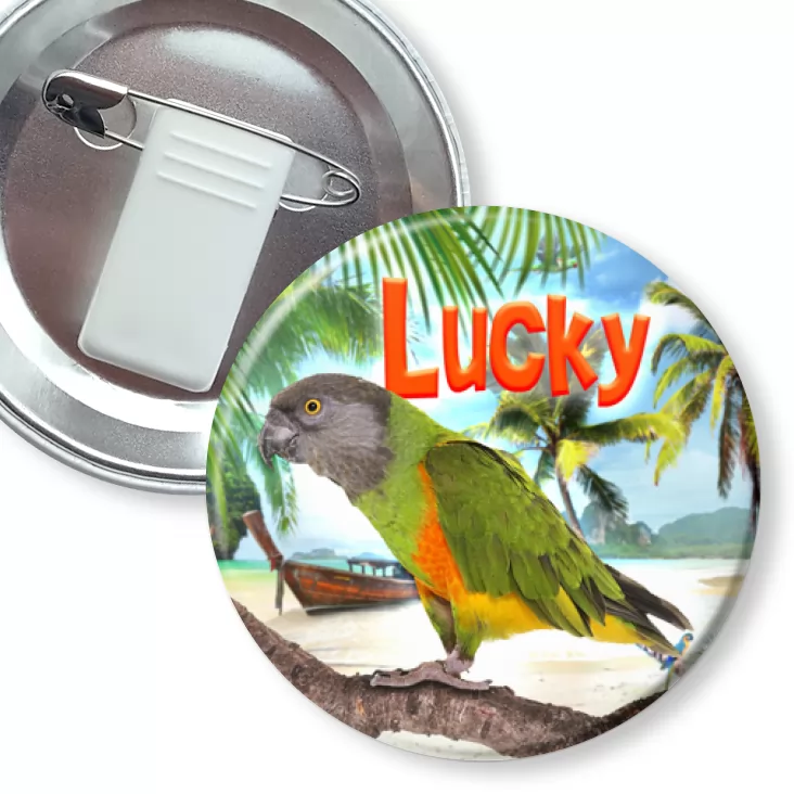 przypinka z żabką i agrafką Papugarnia Carmen - Lucky