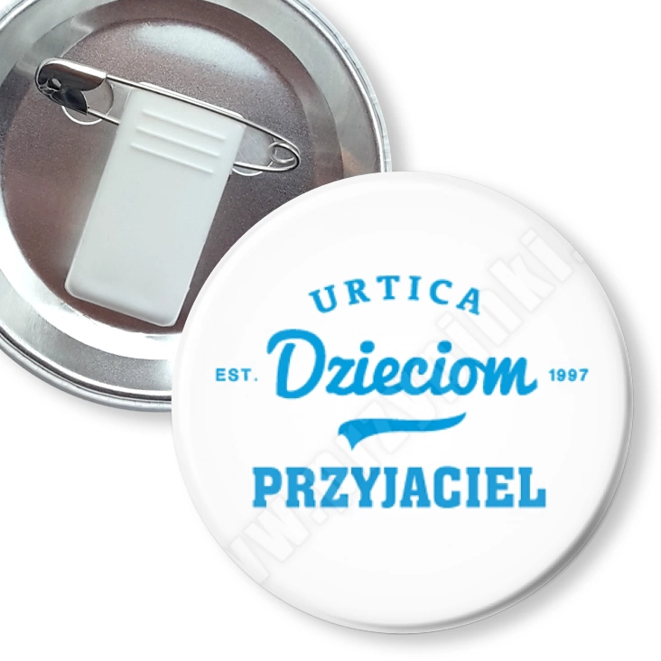 przypinka z żabką i agrafką Przyjaciel