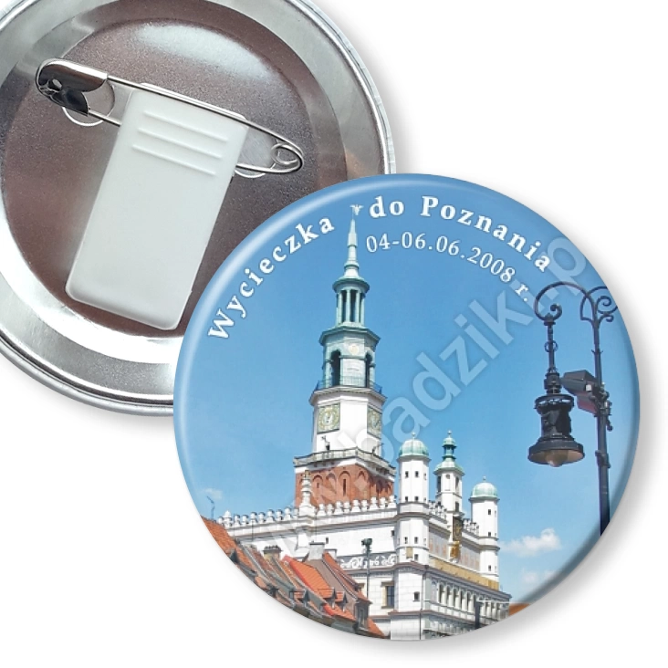 przypinka z żabką i agrafką Wycieczka do Poznania