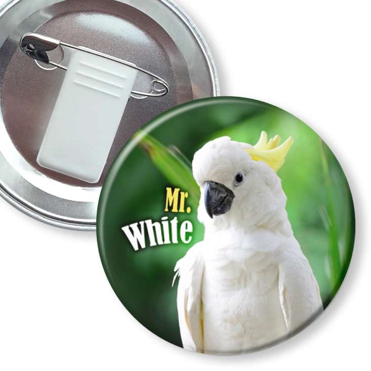 przypinka z żabką i agrafką Papugarnia Carmen - Mr. White