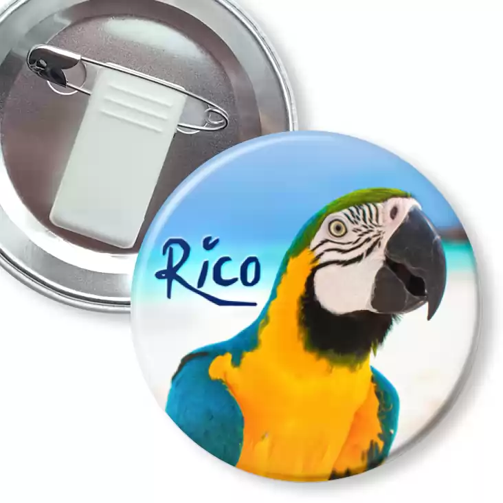 przypinka z żabką i agrafką Papugarnia Carmen - Rico