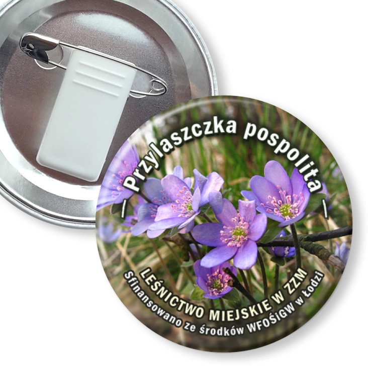przypinka z żabką i agrafką Przylaszczka pospolita