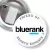 Przypinka z żabką i agrafką Bluerank search experts