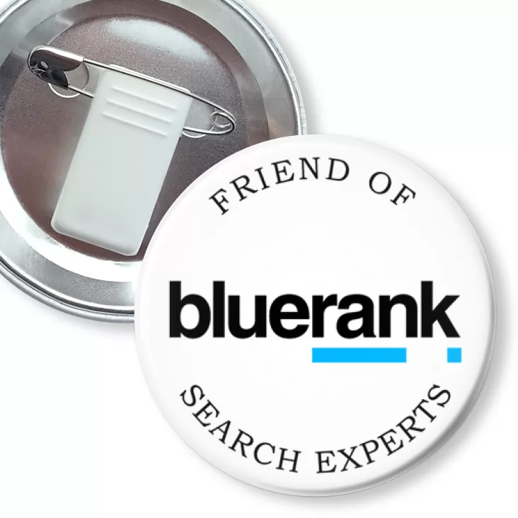 przypinka z żabką i agrafką Bluerank search experts