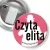 Przypinka z żabką i agrafką Czyta elita