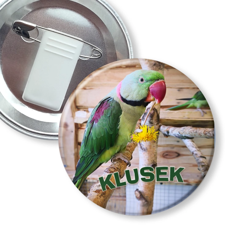 przypinka z żabką i agrafką Klusek
