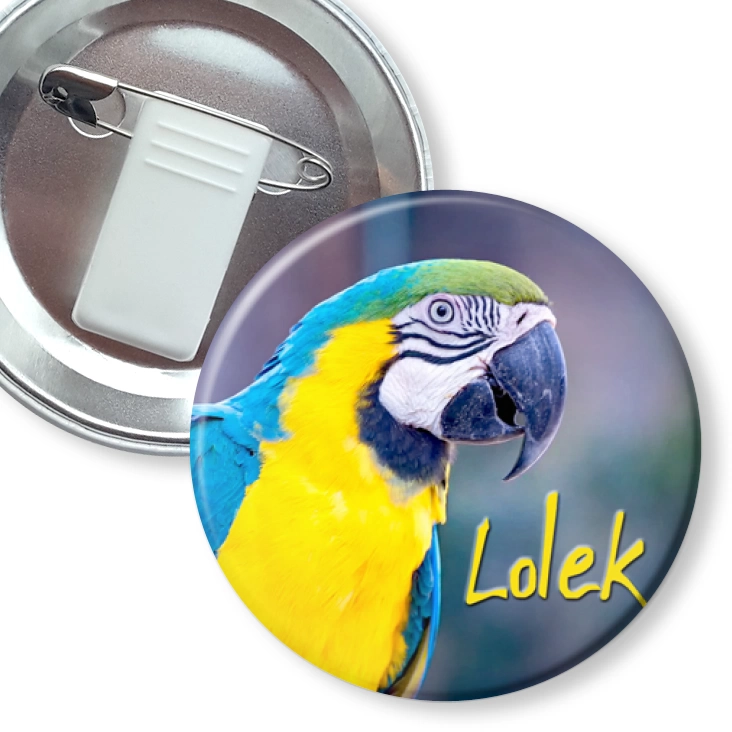 przypinka z żabką i agrafką Papugarnia Carmen - LOLEK