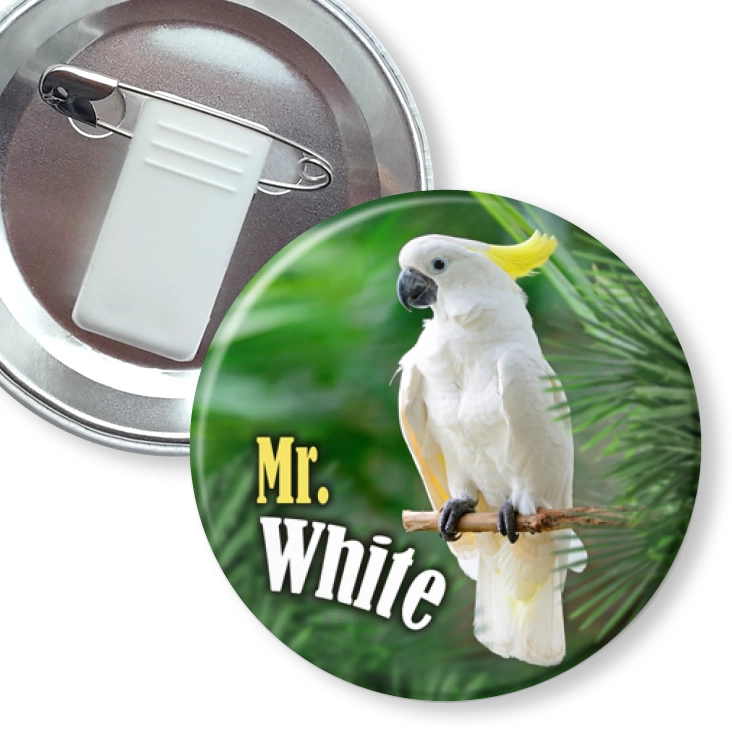 przypinka z żabką i agrafką Papugarnia Carmen - Mr. White