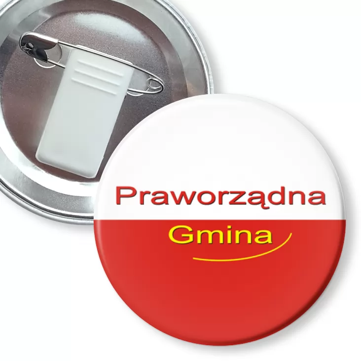 przypinka z żabką i agrafką Praworządna Gmina