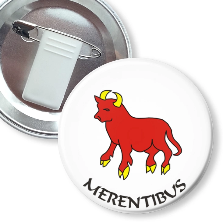 przypinka z żabką i agrafką MERENTIBUS
