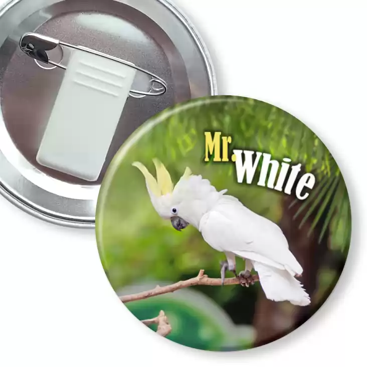przypinka z żabką i agrafką Papugarnia Carmen - Mr. White