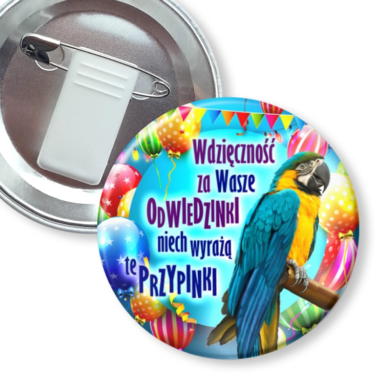 przypinka z żabką i agrafką Papugarnia Carmen - odwiedziny