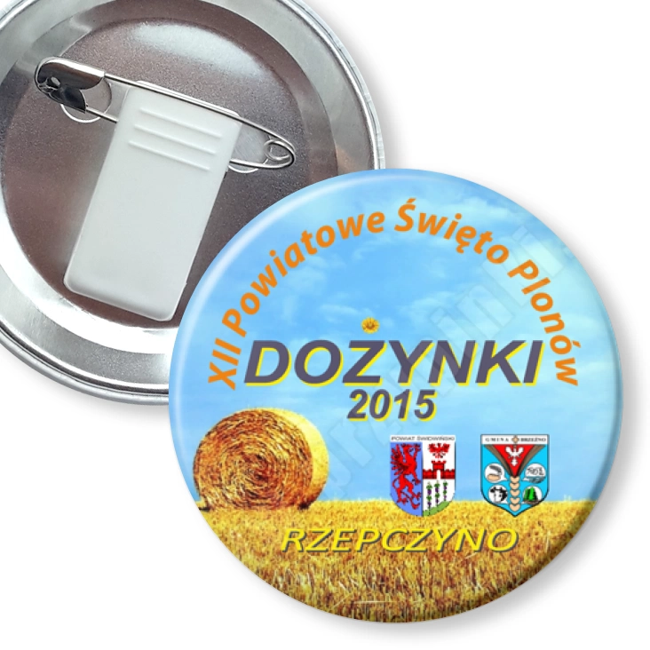 przypinka z żabką i agrafką Dom Judy