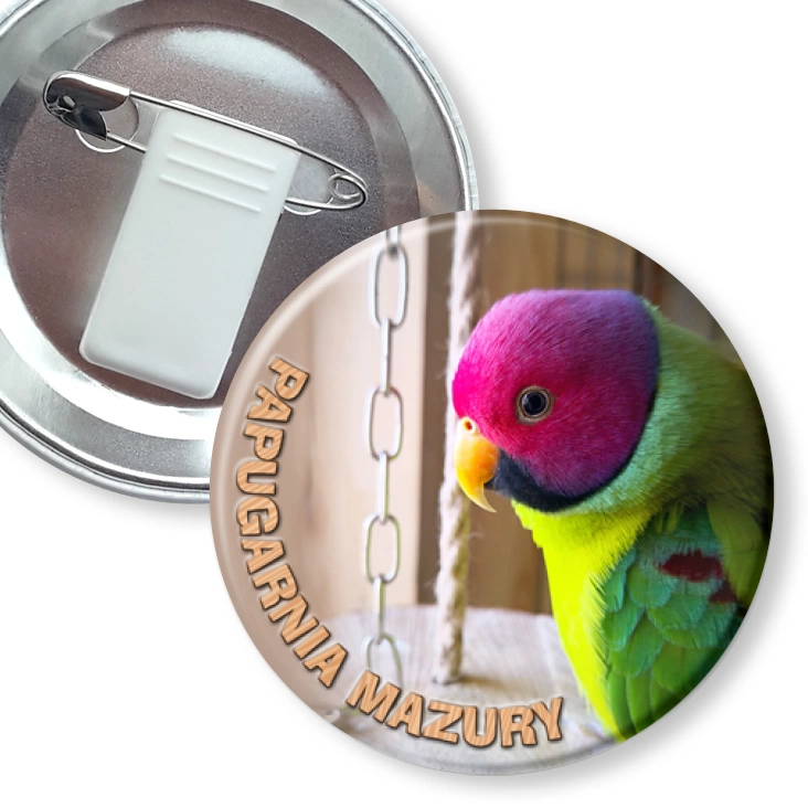 przypinka z żabką i agrafką Papugarnia Mazury