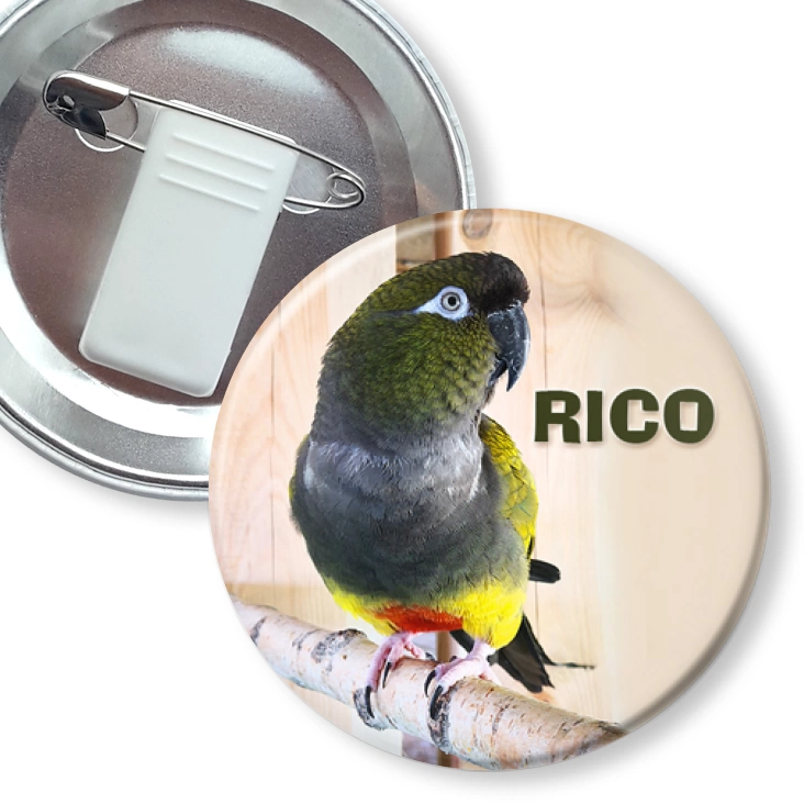 przypinka z żabką i agrafką Rico