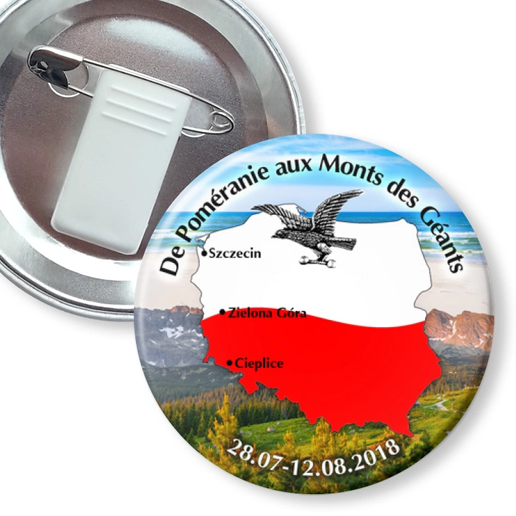 przypinka z żabką i agrafką Sokół