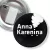 Przypinka z żabką i agrafką Anna Karenina