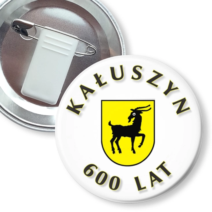 przypinka z żabką i agrafką Kałuszyn