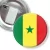 Przypinka z żabką i agrafką Senegal