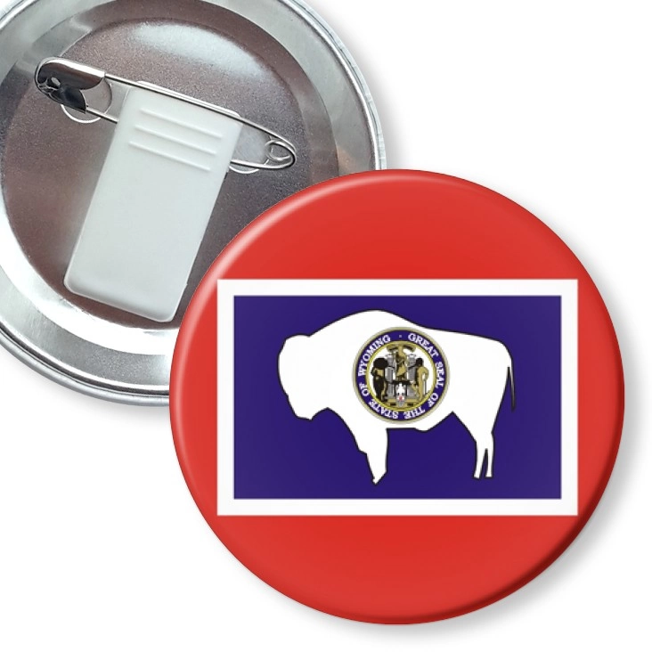 przypinka z żabką i agrafką wyoming