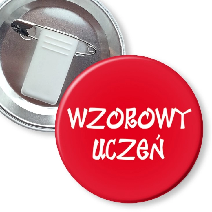 przypinka z żabką i agrafką Wzorowy uczeń