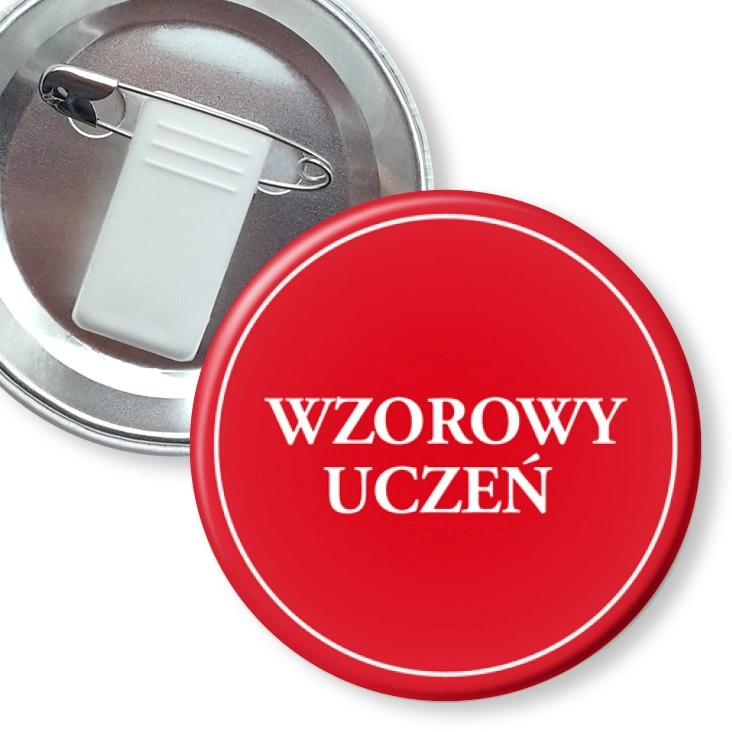 przypinka z żabką i agrafką Wzorowy uczeń