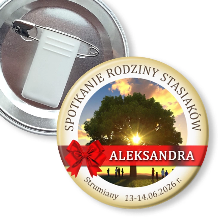 przypinka z żabką i agrafką Spotkanie Rodziny Stasiaków